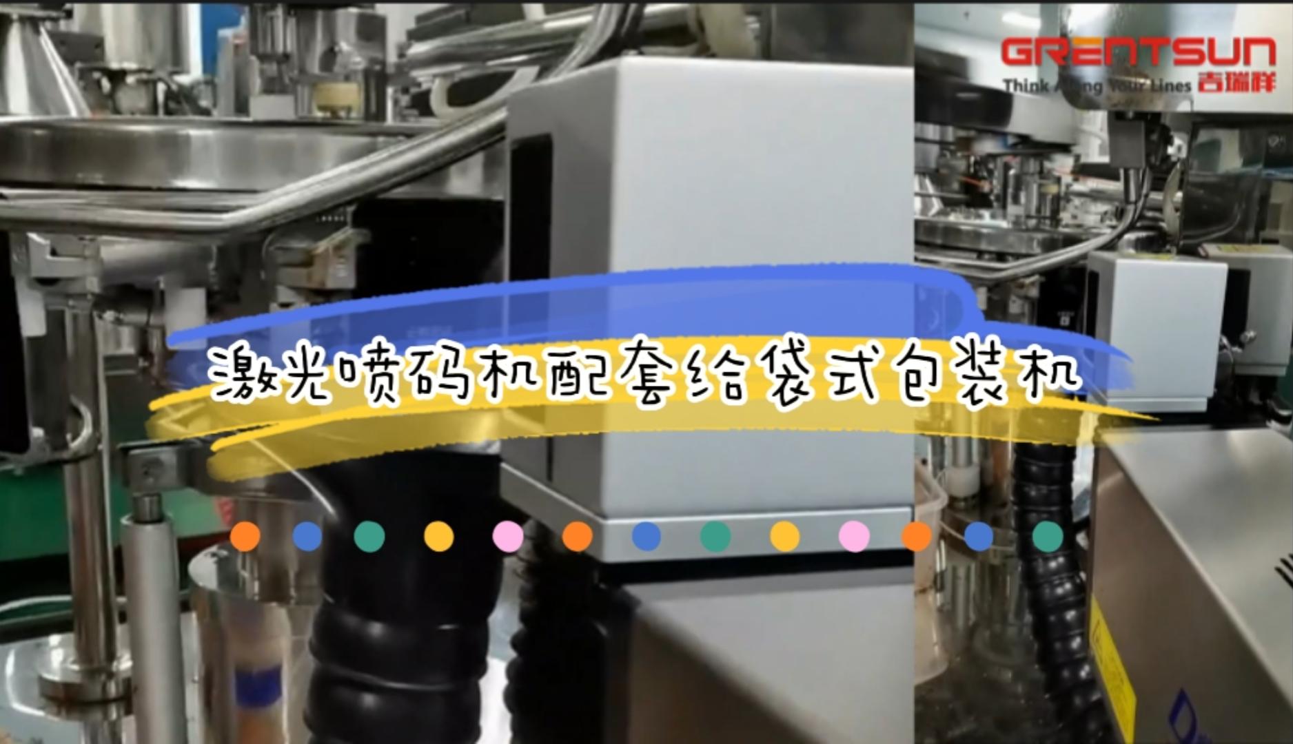 給袋式包裝機激光噴碼機應(yīng)用實例